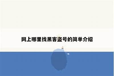 24小时正规黑客在线联系途径获取方法「黑客24小时接单方式」